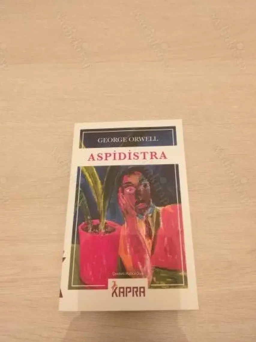 Aspidistra - George Orwell