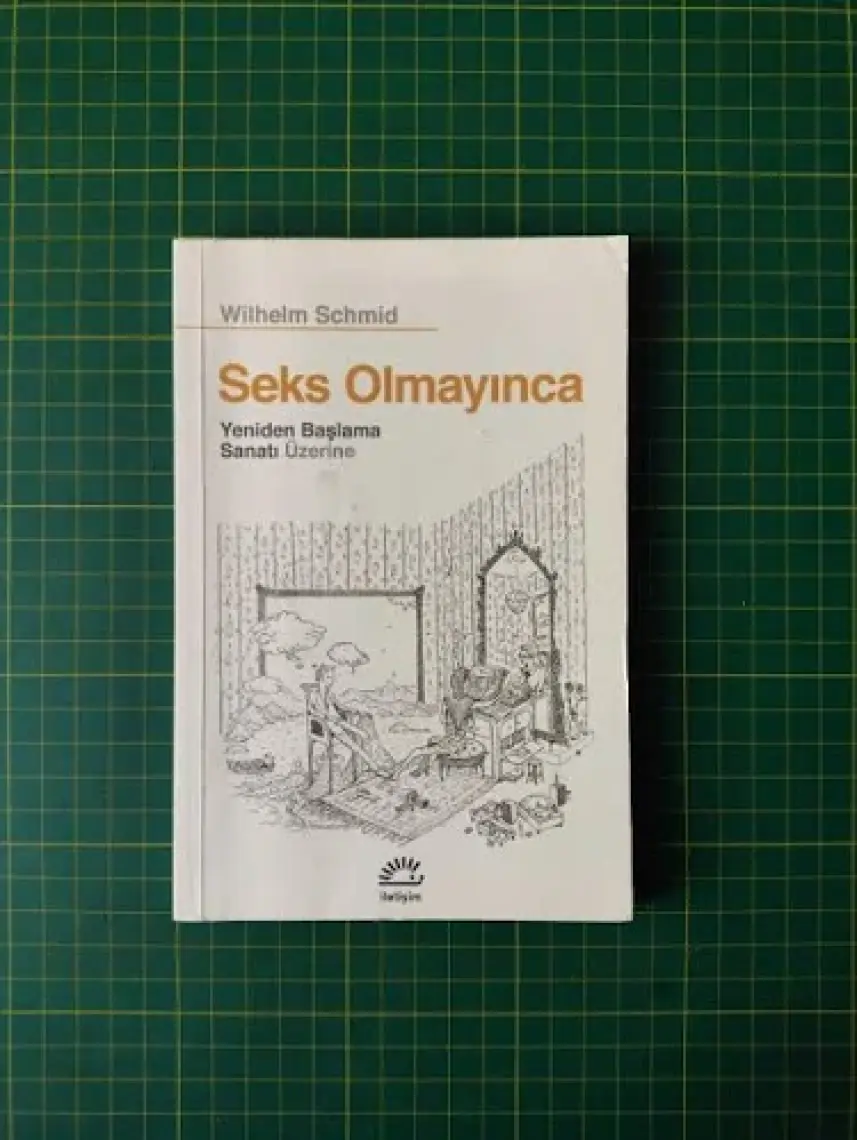 Seks Olmayınca - Wilhelm Schmid