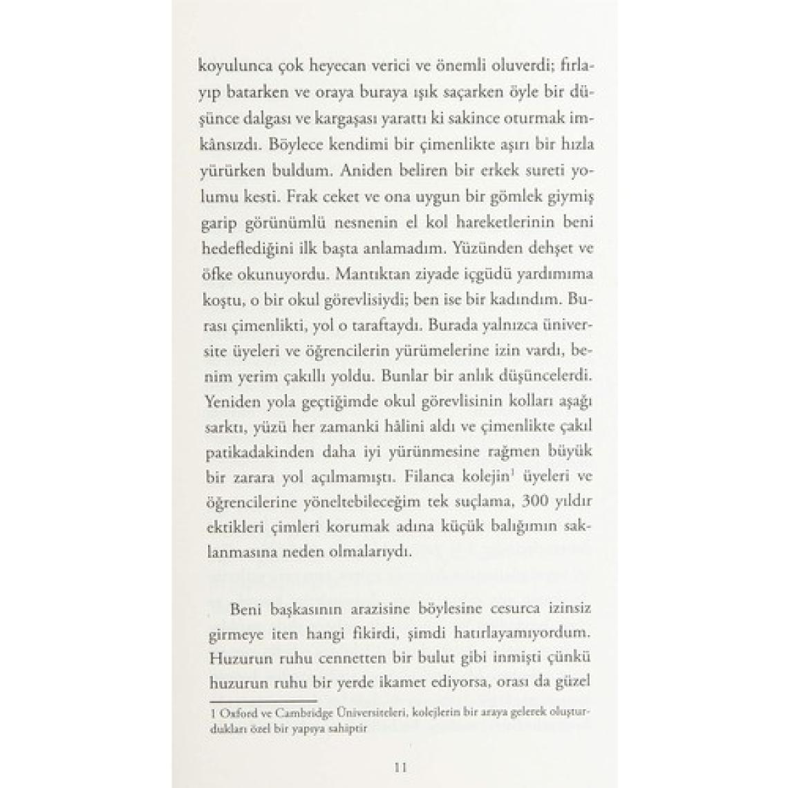 Kendine Ait Bir Oda - Virginia Woolf