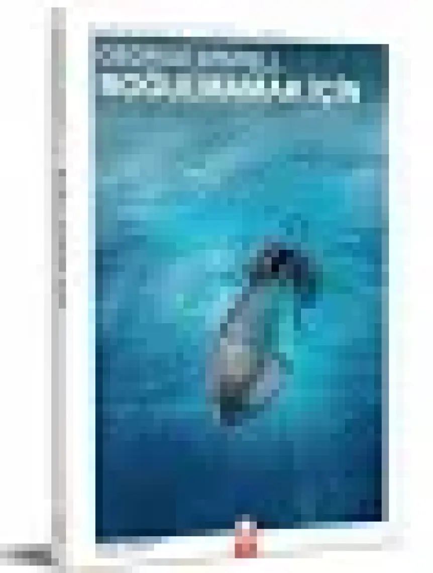 George Orwell Seti 4 Kitap Set
