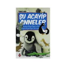 Uğurböceği Yayınları Şu Acayip Anneler