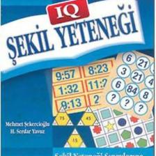 IQ Şekil Yeteneği