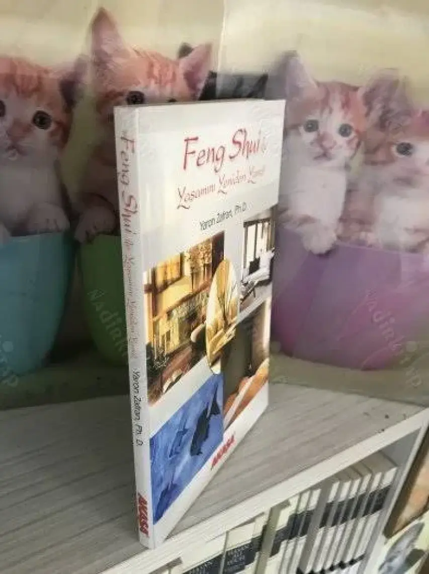 Feng Shui ile Yaşamını Yeniden Yarat