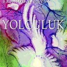 Yolculuk - Brandon Bays