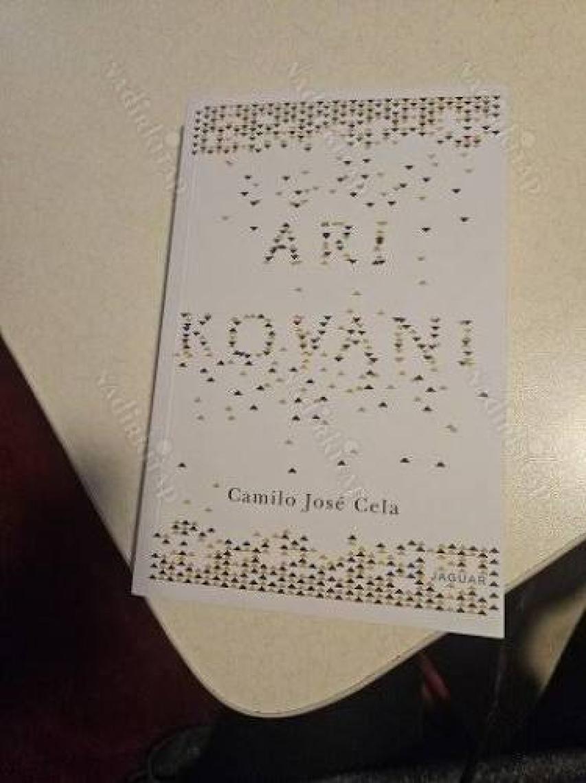 Arı Kovanı - Camilo Jose Cela
