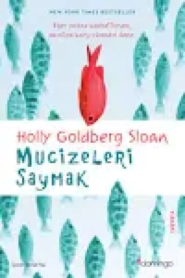 Mucizeleri Saymak - Holly Goldberg Sloan
