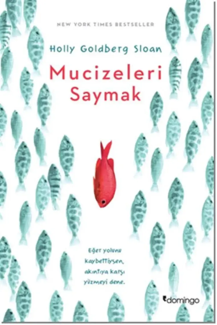 Mucizeleri Saymak - Holly Goldberg Sloan
