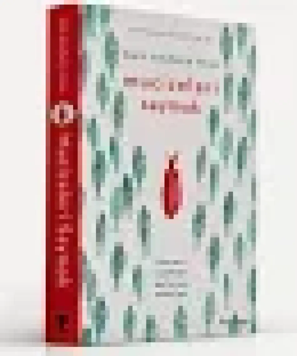 Mucizeleri Saymak - Holly Goldberg Sloan