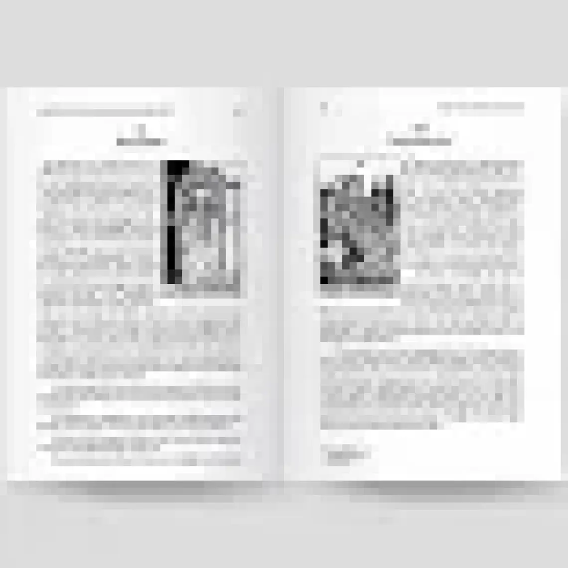 Ekorp Kitap Tarot'un Görsel Anahtarı (Özel Baskı)