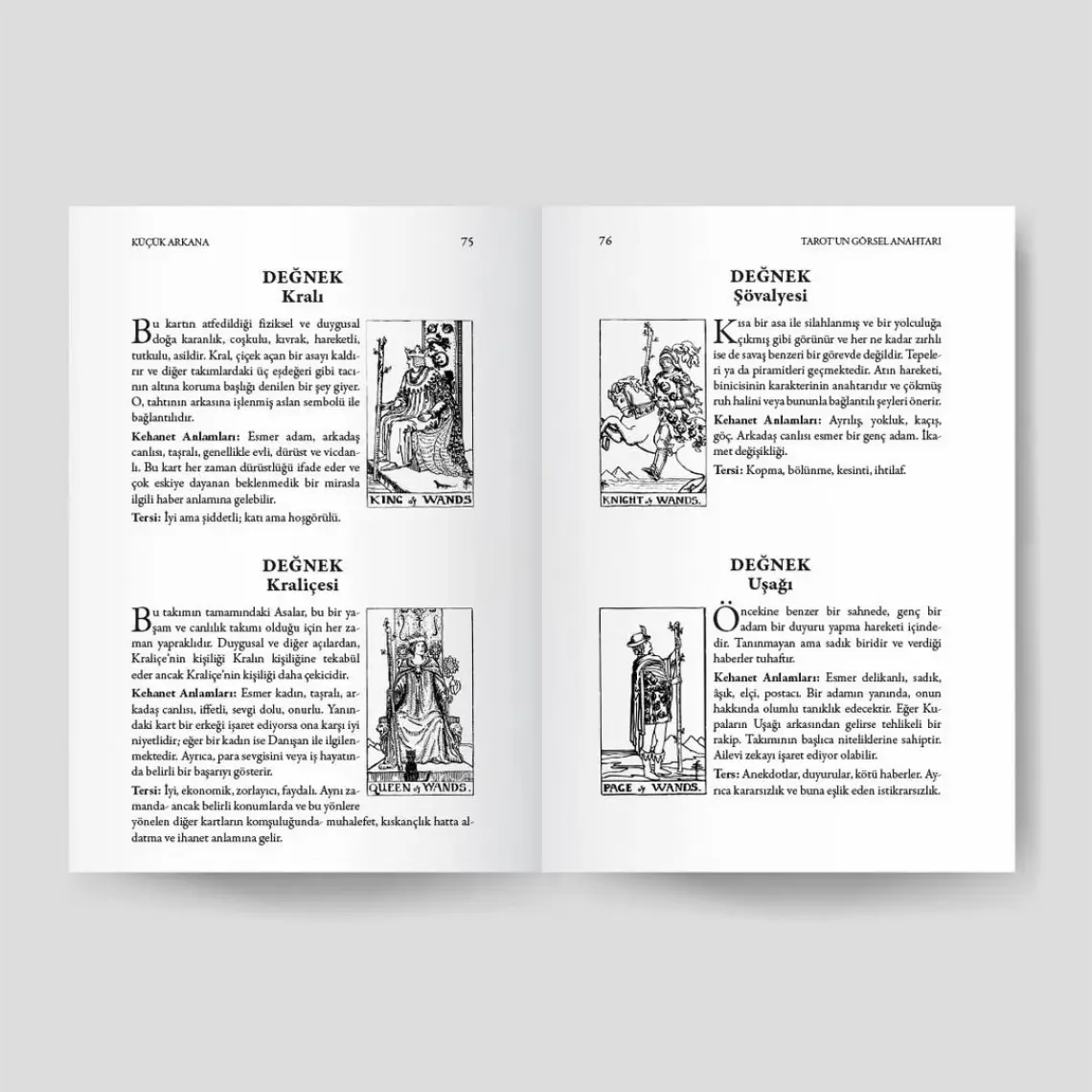 Ekorp Kitap Tarot'un Görsel Anahtarı (Özel Baskı)
