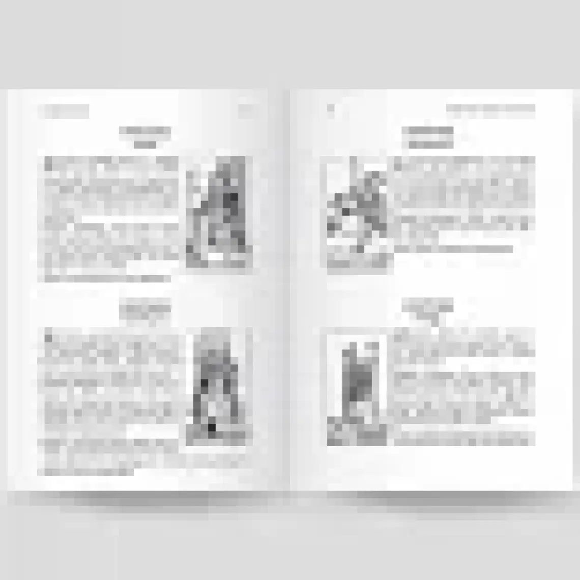 Ekorp Kitap Tarot'un Görsel Anahtarı (Özel Baskı)