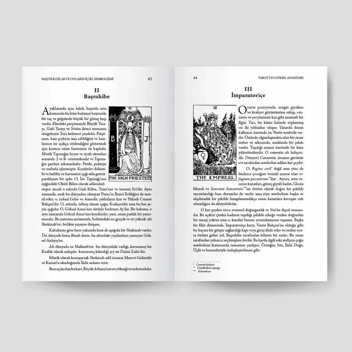 Ekorp Kitap Tarot'un Görsel Anahtarı (Özel Baskı)