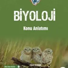 Okyanus Tyt Ayt Iceberg Biyoloji Konu Anlatımı (Yeni)