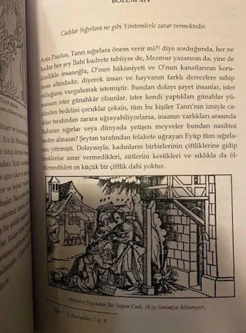 Cadı Çekici
