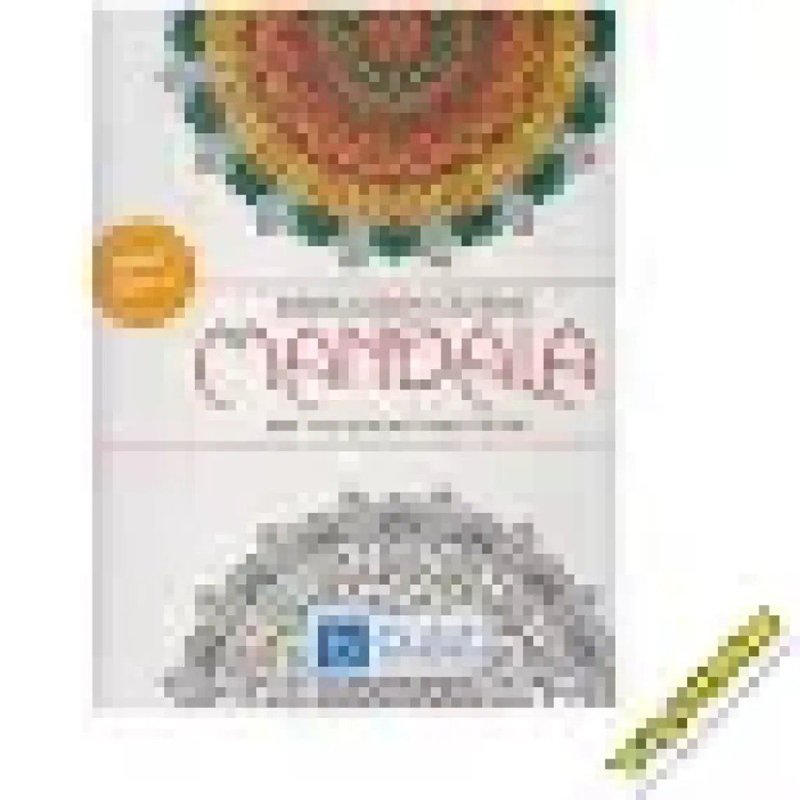 Renklerin Büyüsü Mandala Her Yaş İçin Boyama Kitabı
