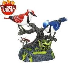 Vardem Kutulu Pilli Müzikli Ve Kuş Sesli Kalemlikli İkili Kuş