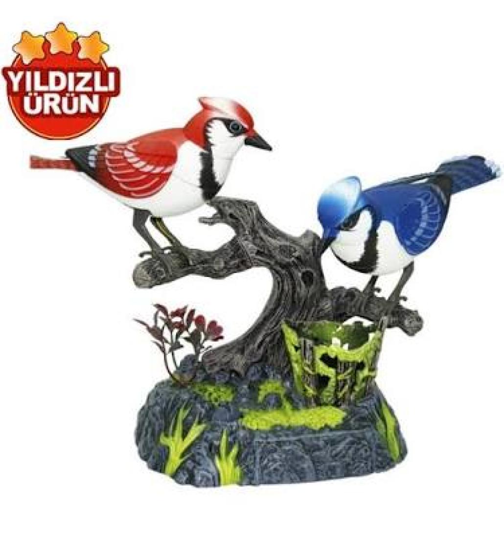 Vardem Kutulu Pilli Müzikli Ve Kuş Sesli Kalemlikli İkili Kuş