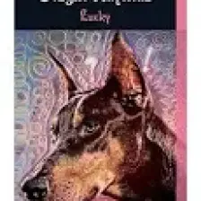 Lucky - Sezgin Kaymaz