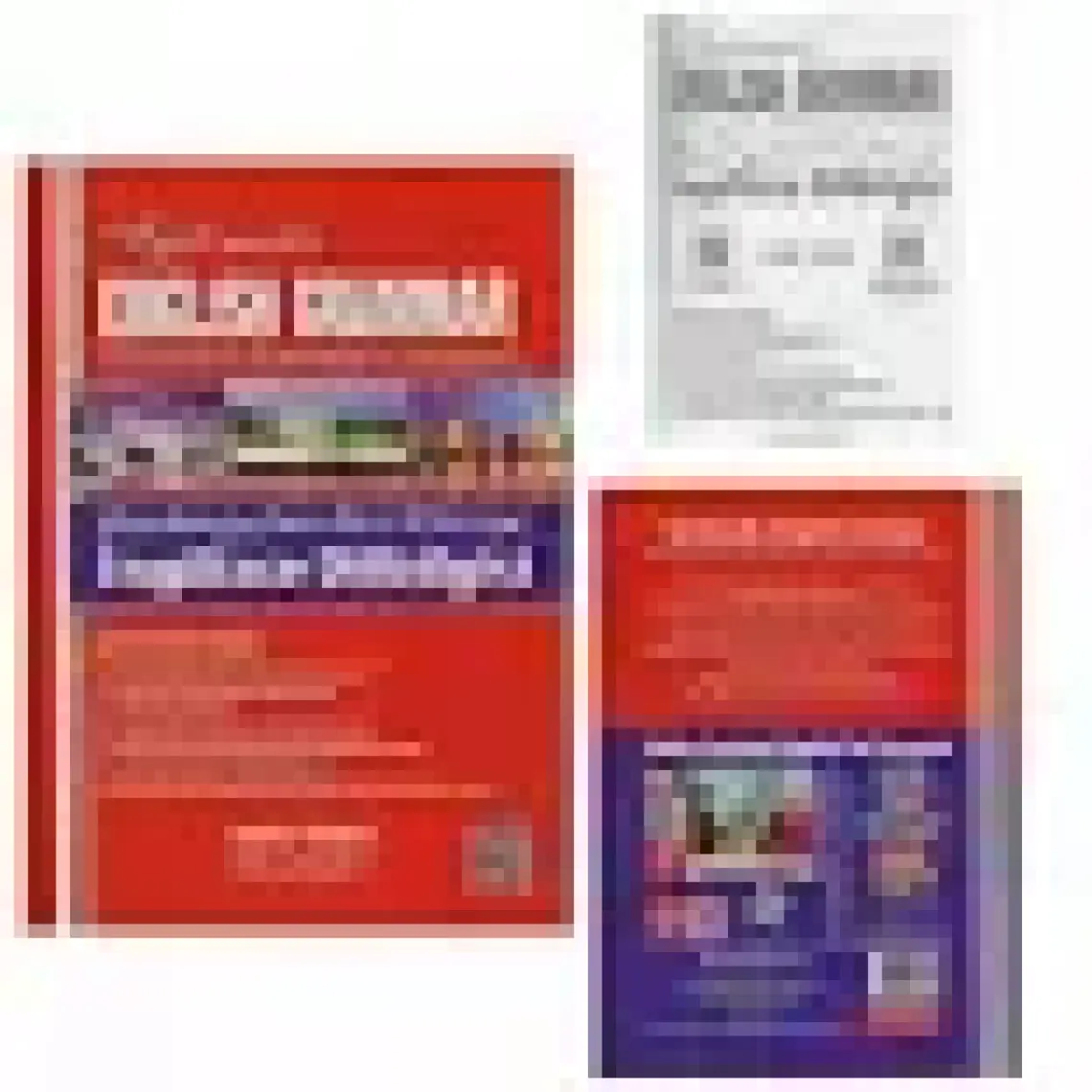 Systematic English Grammar  Ebru Yener karekod