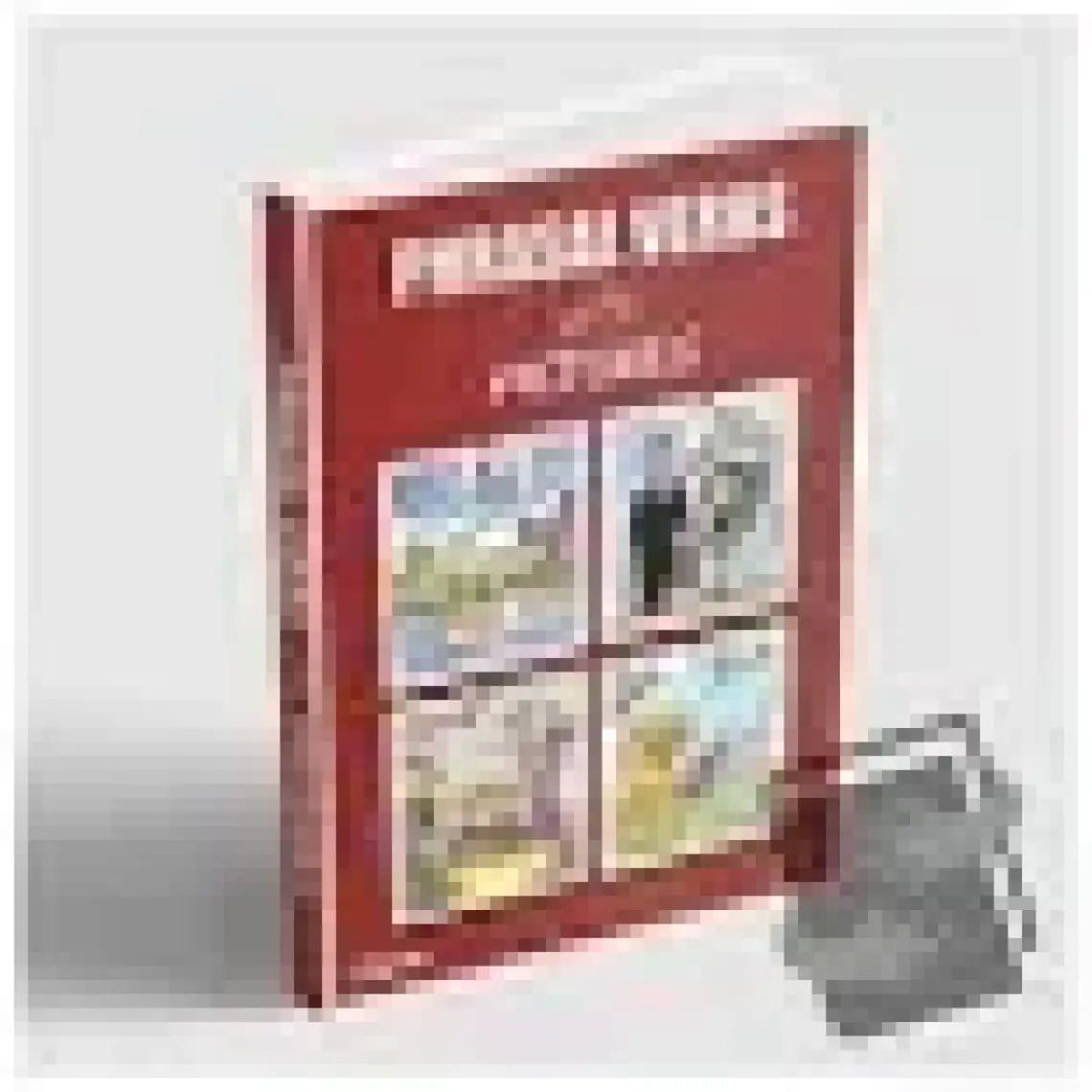 Özer Kiraz Yayınları Phrasal Verbs with Pictures