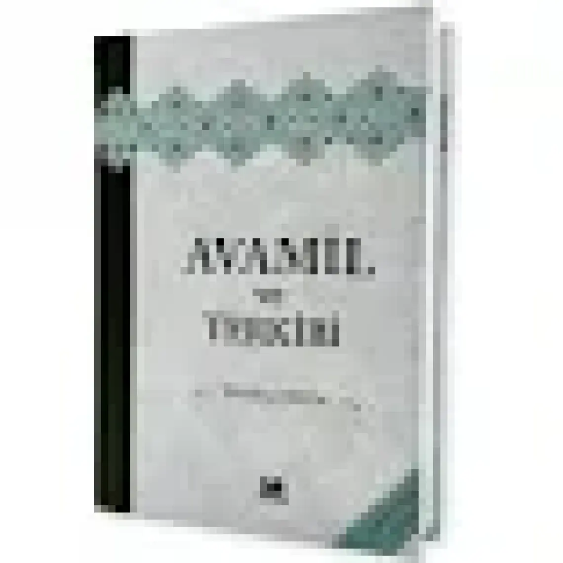 Kitapkalbi Yayıncılık Avamil - Zehra Seven