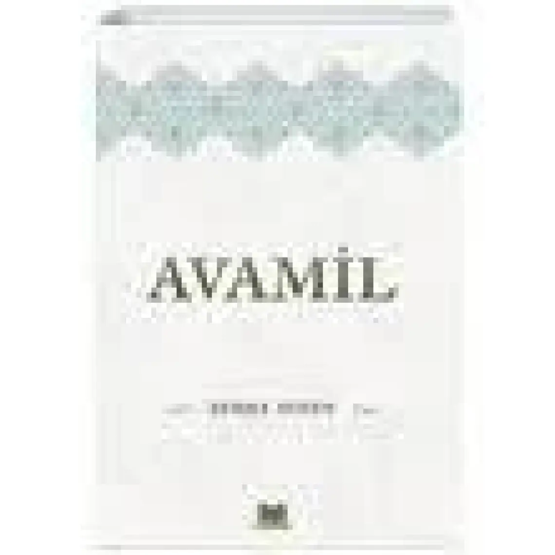 Kitapkalbi Yayıncılık Avamil - Zehra Seven