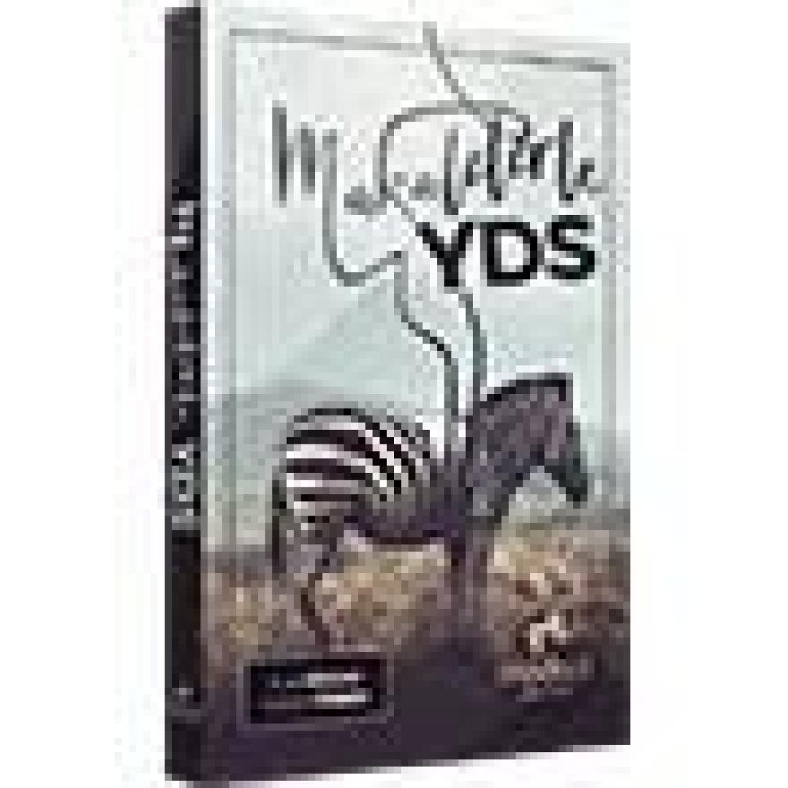 Akın Publishing Handy Words Ingilizce Deyim ve Kalıplar El Kitabı