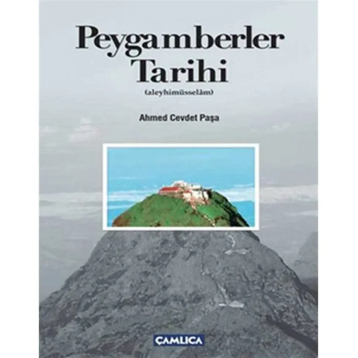 Peygamberler Tarihi (Aleyhimüsselâm)-Ahmed Cevdet Paşa