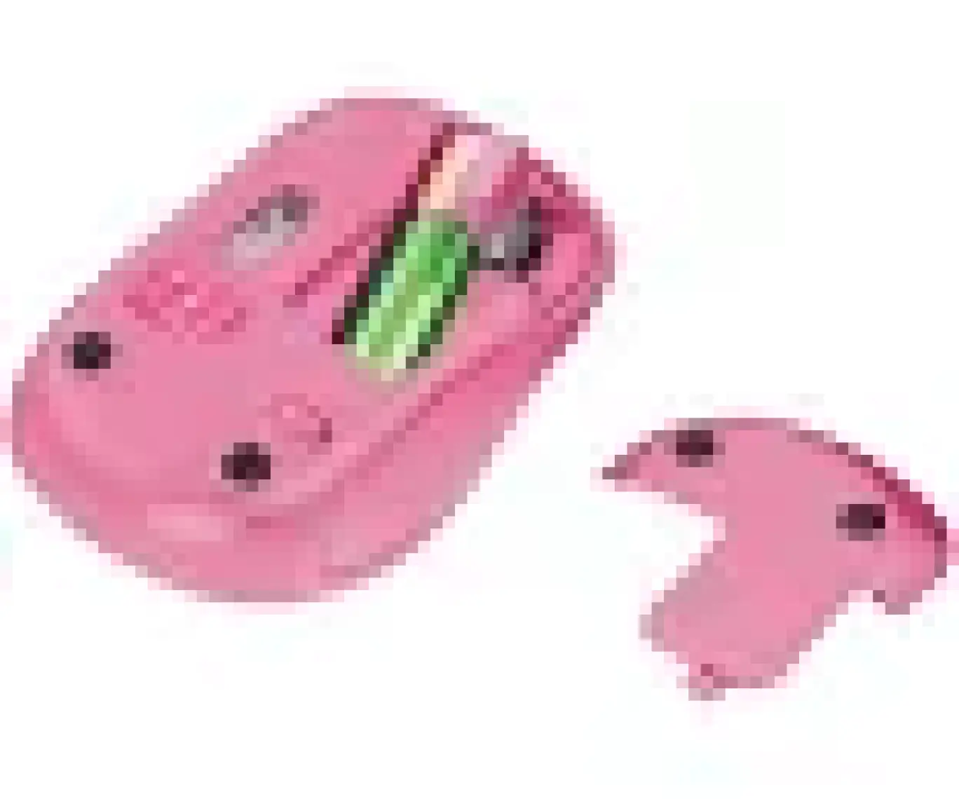 Trust 22336 Yvi Kablosuz Mouse - Pembe