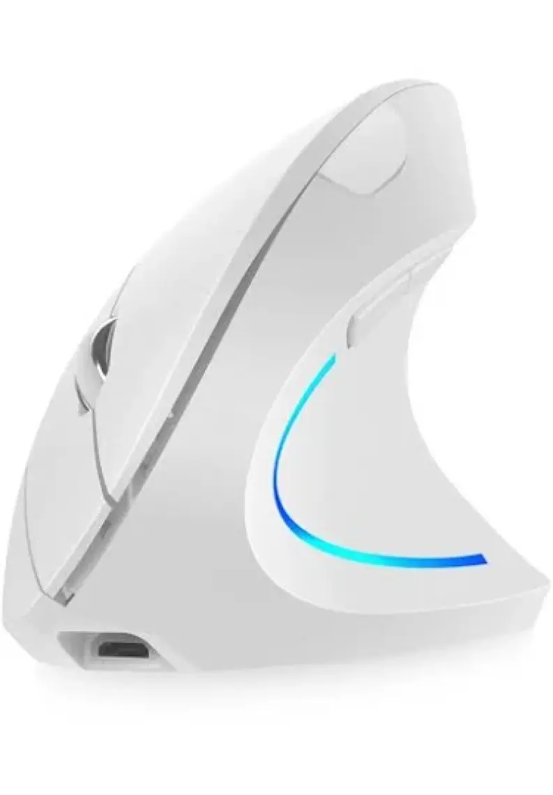 Cloody Gri Pilli Dikey Ergonomik Kablosuz Mouse