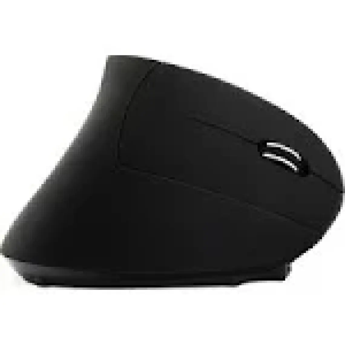 Cloody Dikey Ergonomik Kablosuz Mouse (Sarjlı)