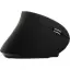 Cloody Dikey Ergonomik Kablosuz Mouse (Sarjlı)