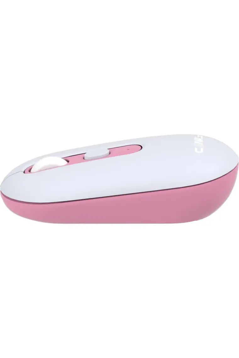 Claw’s Pastel Style Dpı Değiştirme Tuşlu Kombin Renkli Kablosuz Mouse - Buz Mavisi