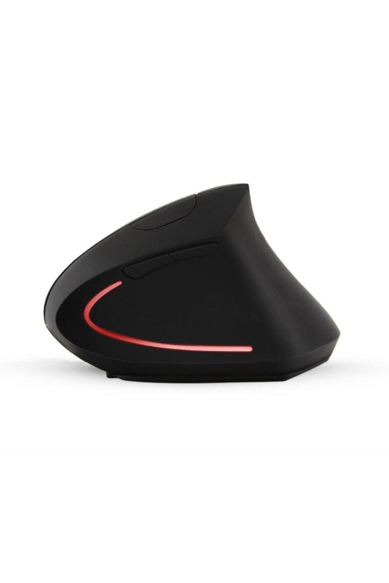 Cloody Dikey Ergonomik Kablosuz Mouse (Pilli)