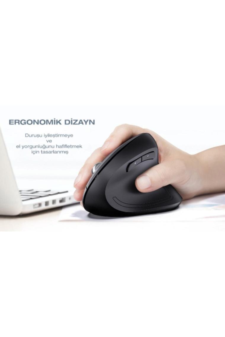 Cloody Dikey Ergonomik Kablosuz Mouse (Pilli)