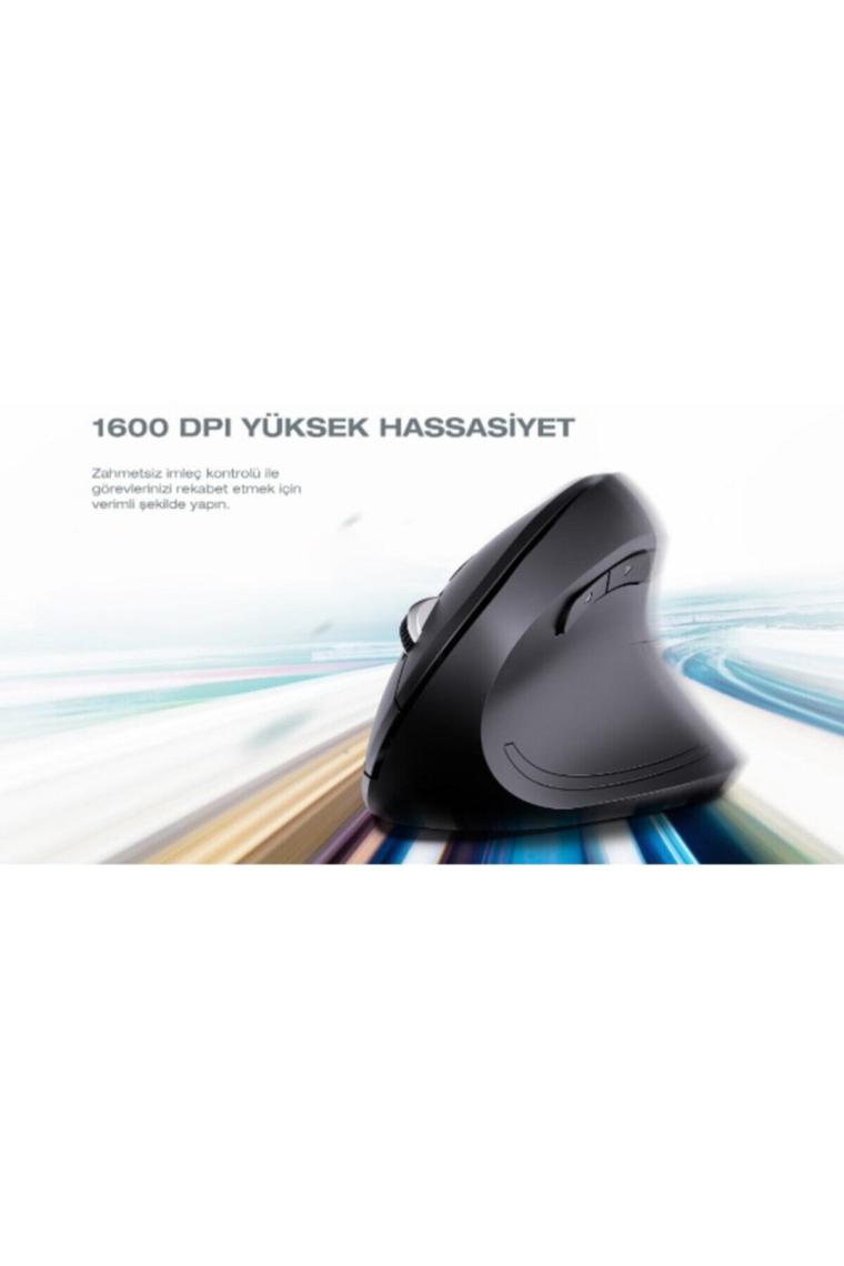 Cloody Dikey Ergonomik Kablosuz Mouse (Pilli)