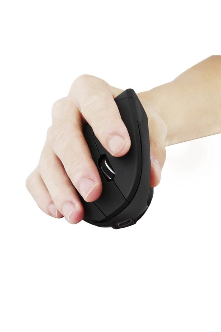 Cloody Dikey Ergonomik Kablosuz Mouse (Pilli)