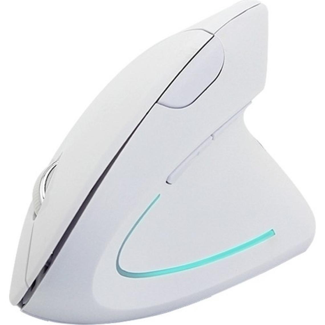 Cloody Dikey Ergonomik Kablosuz Mouse (Pilli)
