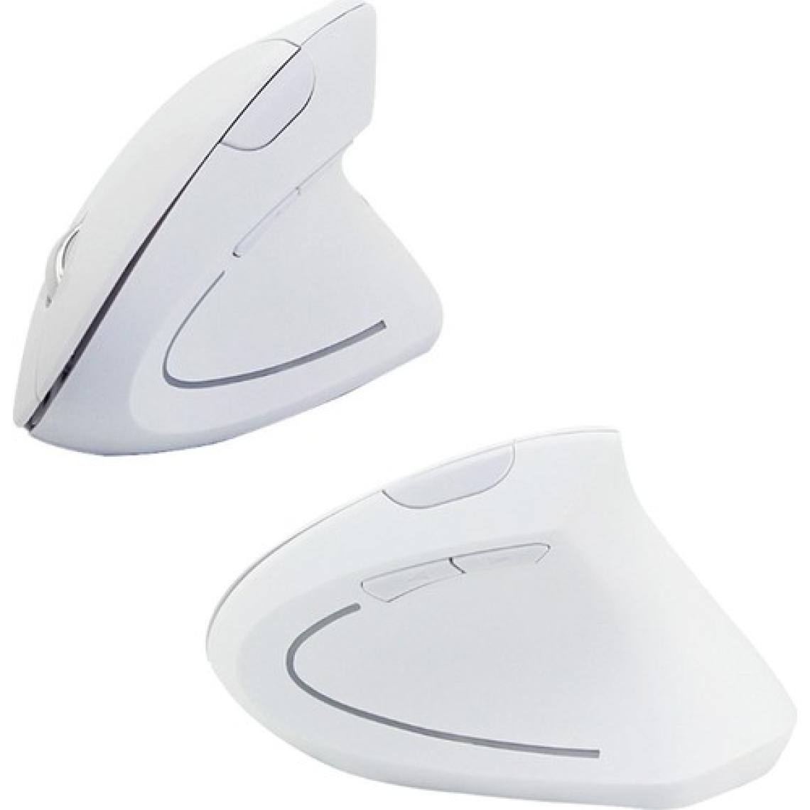 Cloody Dikey Ergonomik Kablosuz Mouse (Pilli)