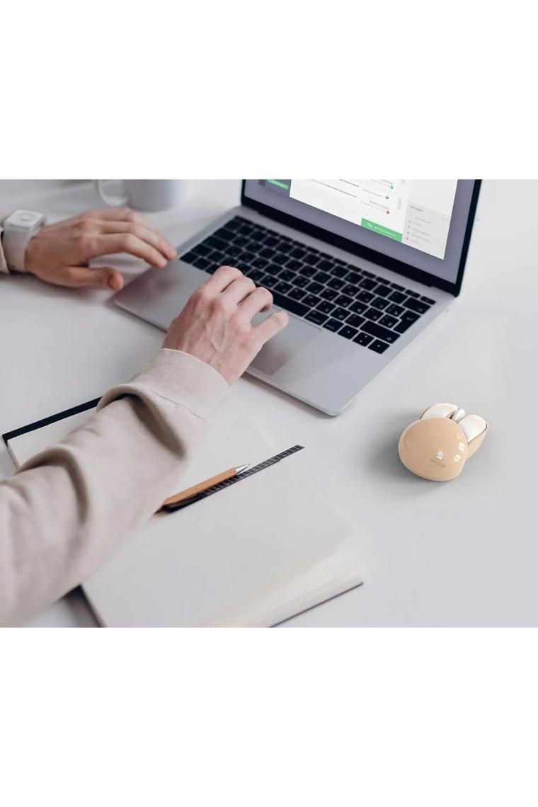 Studz M6 Playrab Tavşan Kablosuz Mouse