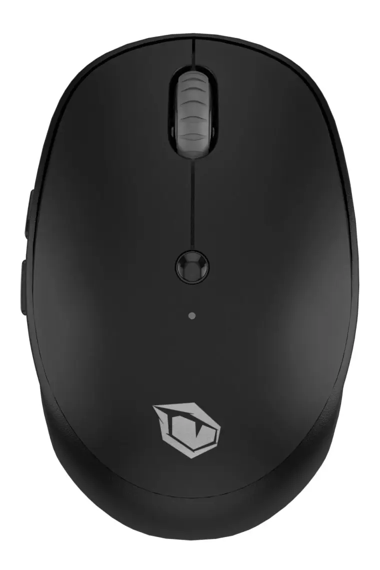 Pusat Business B700 2400 Dpı Sessiz Kablosuz Mouse Siyah