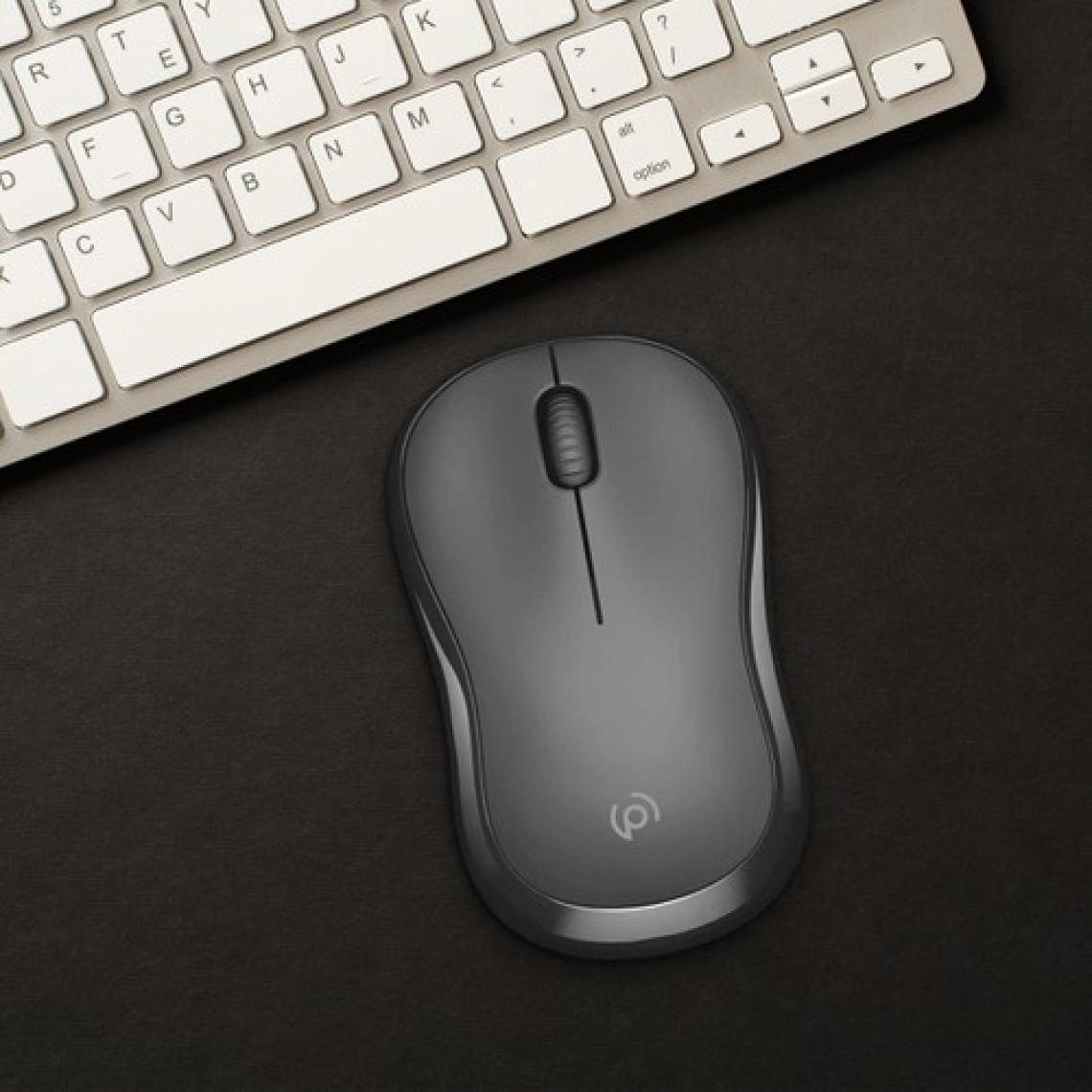 Polosmart PSWM11 Kablosuz Sessiz Mouse