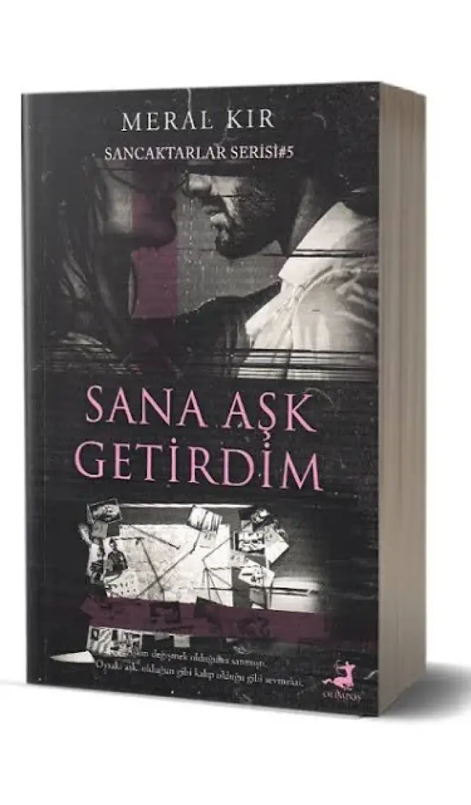 Sana Aşk Getirdim - Meral Kır