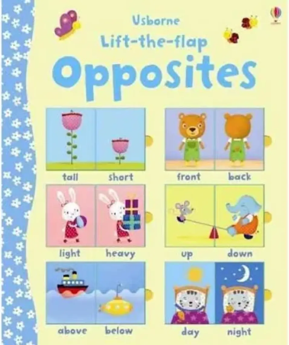 Lift-the-flap Opposites