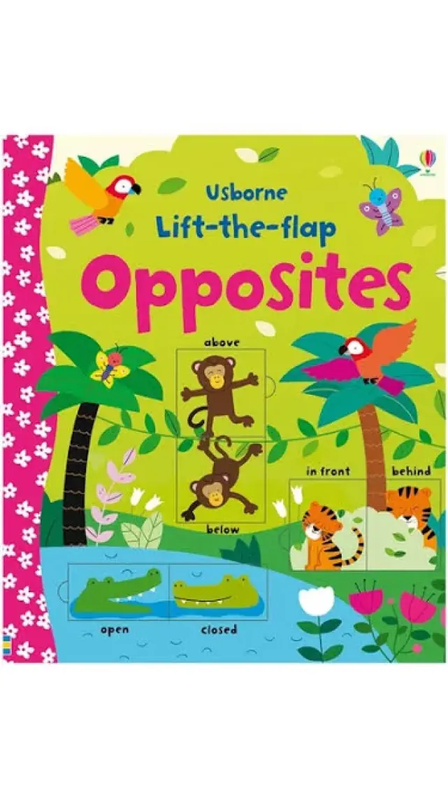 Lift-the-flap Opposites
