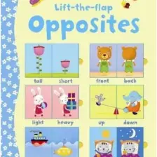 Lift-the-flap Opposites