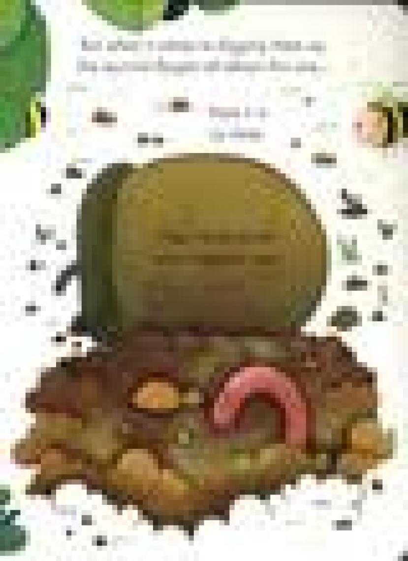Usborne Peep Inside: a Tree