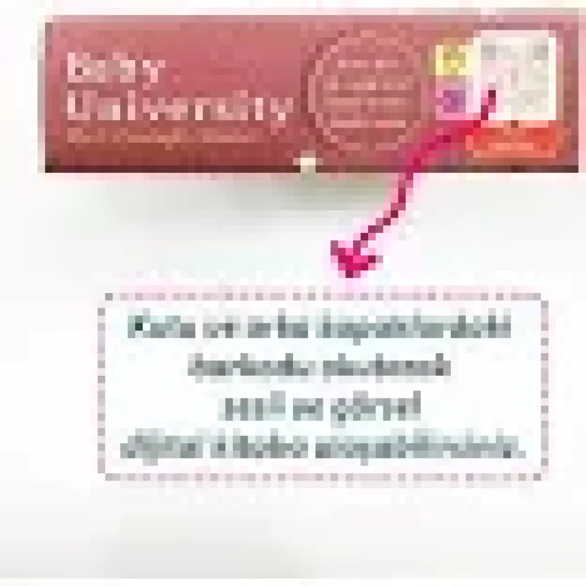 Baby University First Concepts Stories  - Çağrı Odabaşı