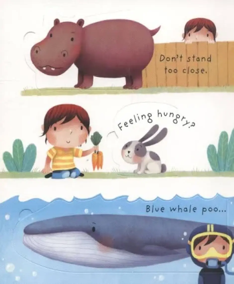 What Is Poo - Very First Questions And Answers