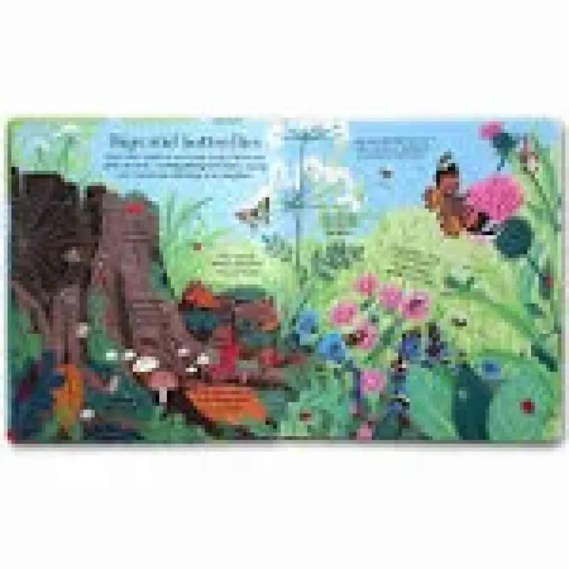 Usborne Lift-the-Flap: Nature